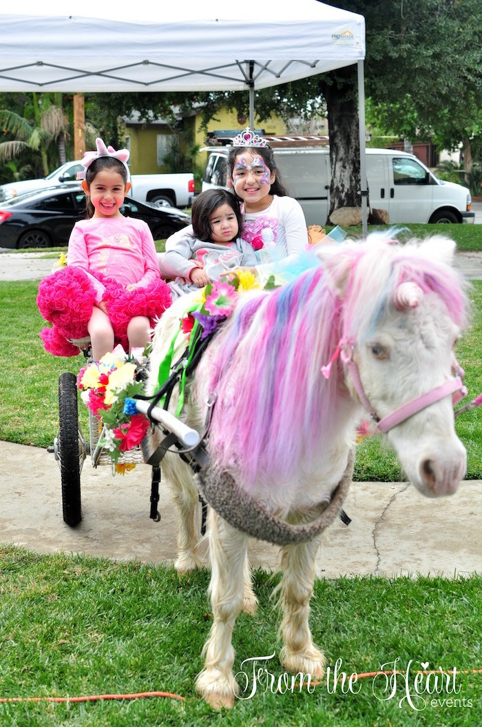 Best ideas about Rent A Horse For A Birthday Party
. Save or Pin Kara s Party Ideas Vibrant Unicorn Birthday Party Now.