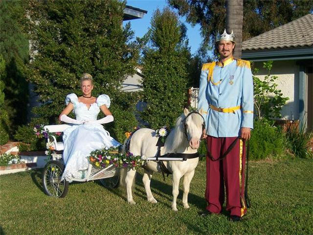 Best ideas about Rent A Horse For A Birthday Party
. Save or Pin Carriage & Cart Rides Now.