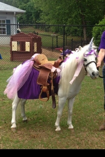 Best ideas about Rent A Horse For A Birthday Party
. Save or Pin Hire Pony Pals Pony Parties Pony Party in Fayetteville Now.