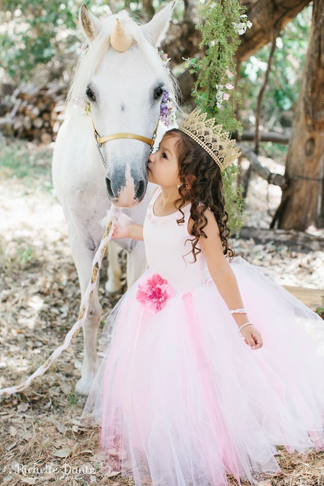 Best ideas about Rent A Horse For A Birthday Party
. Save or Pin Ponies for parties carriage rides miniature horse rides Now.