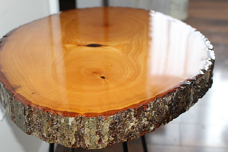 Best ideas about Resin Wood Table DIY
. Save or Pin DIY Resin Wood Slice Side Table Our Crafty Mom Now.