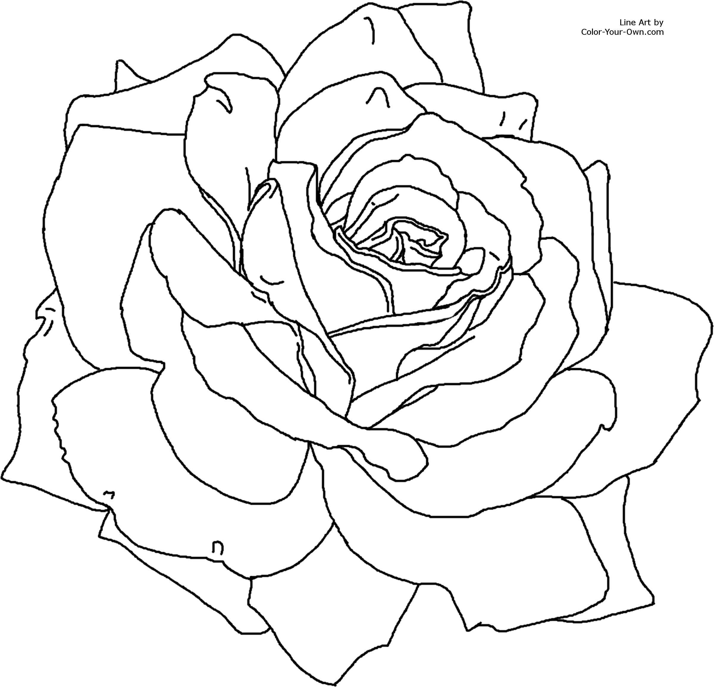 Best ideas about Rose Coloring Pages For Adults
. Save or Pin Rose Flower Coloring Page Now.