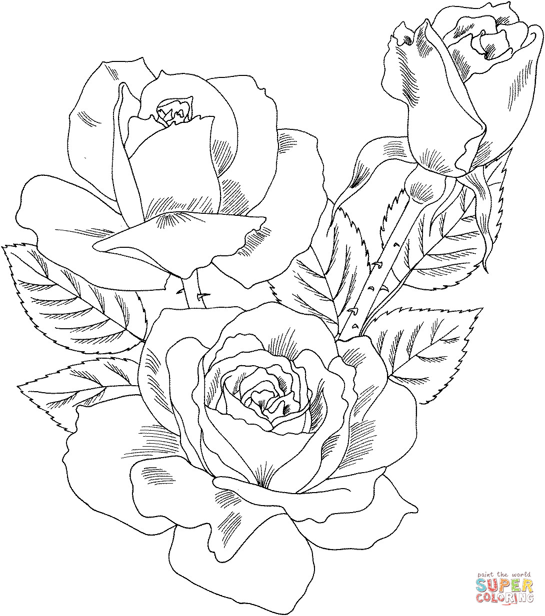 Best ideas about Rose Coloring Pages For Adults
. Save or Pin Double Delight Hybrid Tea Rose coloring page Now.