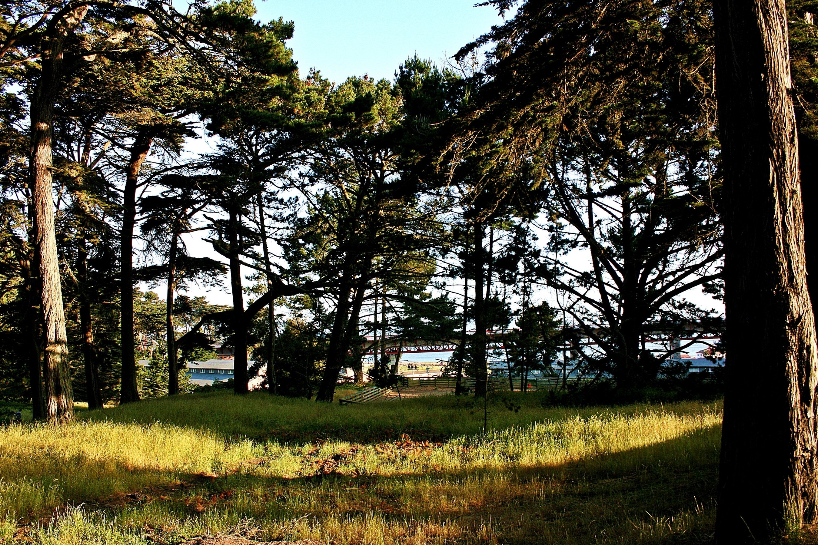 Best ideas about San Francisco Landscape
. Save or Pin nature Landscape Forest USA San Francisco Bay San Now.