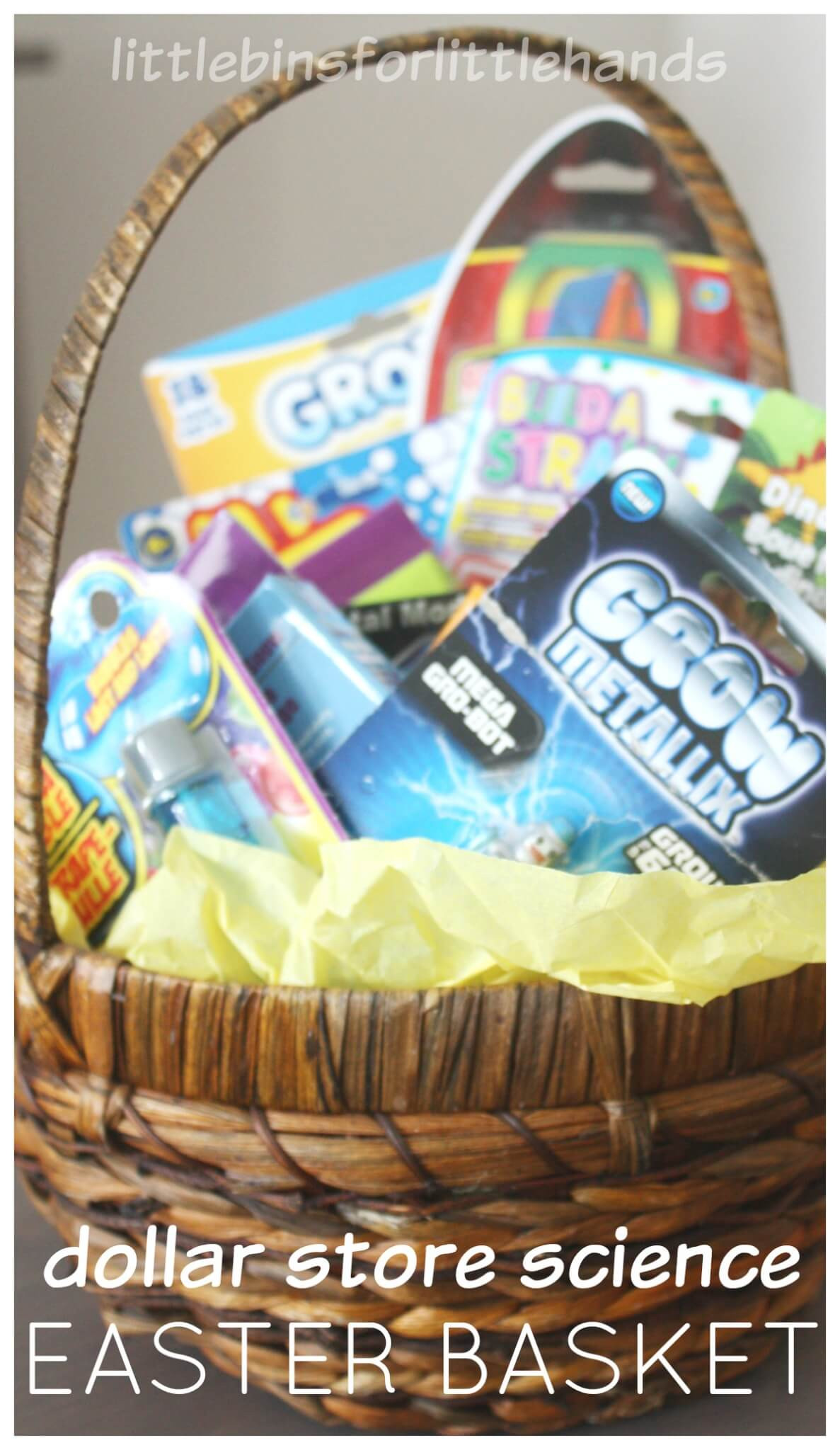 Best ideas about Scientific Gift Ideas
. Save or Pin Dollar Store Science Kits for Easter Basket Ideas and Fillers Now.