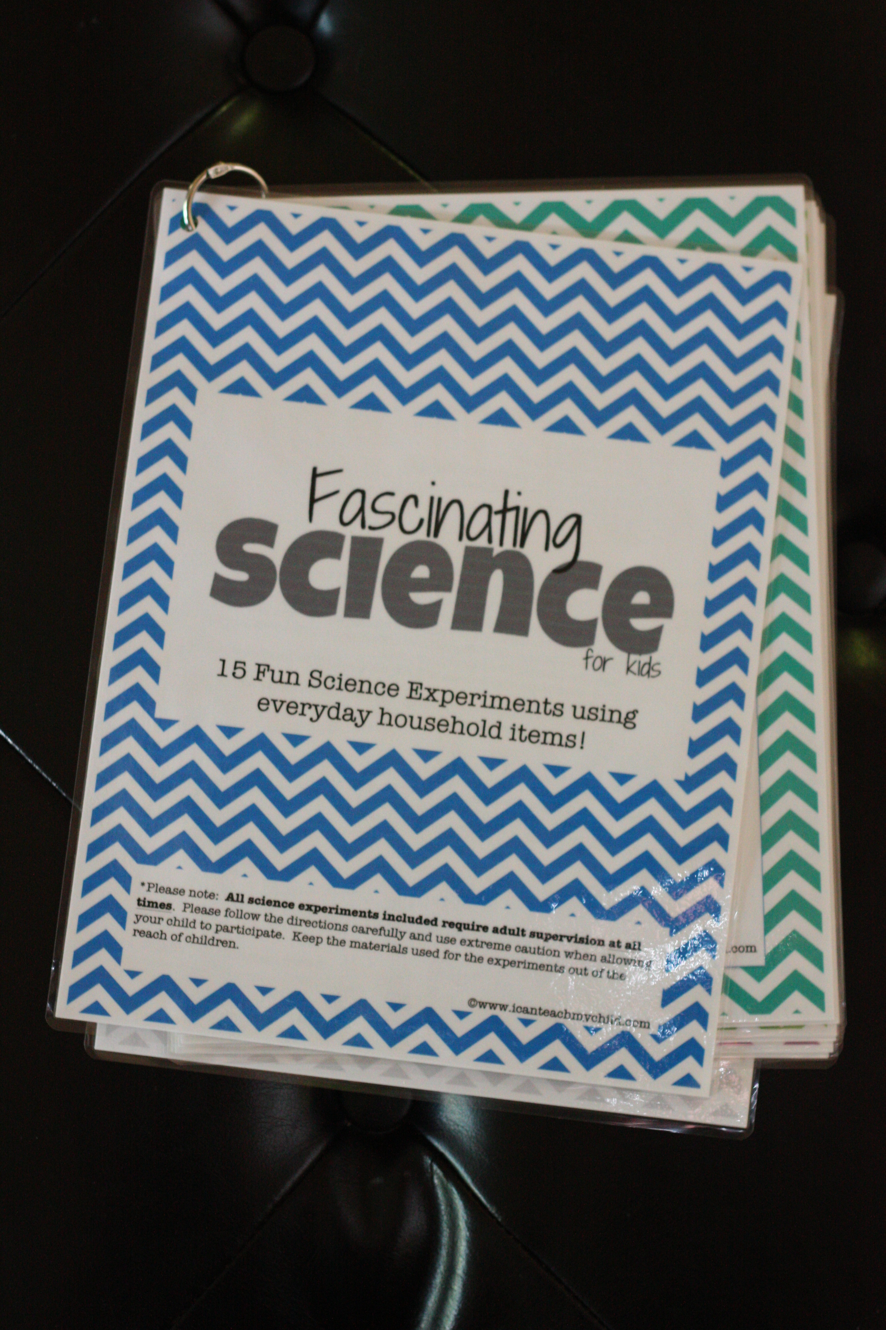 Best ideas about Scientist Gift Ideas
. Save or Pin Gift Idea Science Kit for Kids with free printables I Now.