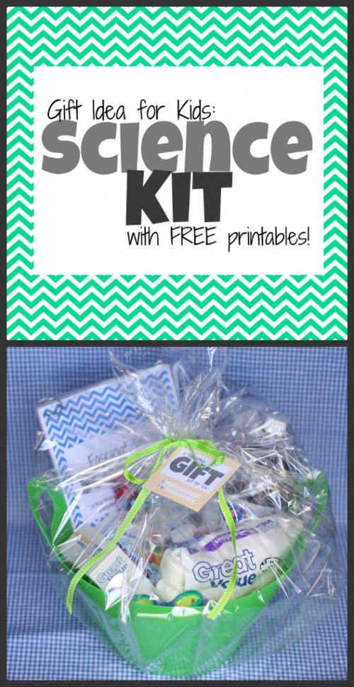 Best ideas about Scientist Gift Ideas
. Save or Pin Gift Idea Science Kit for Kids with free printables I Now.