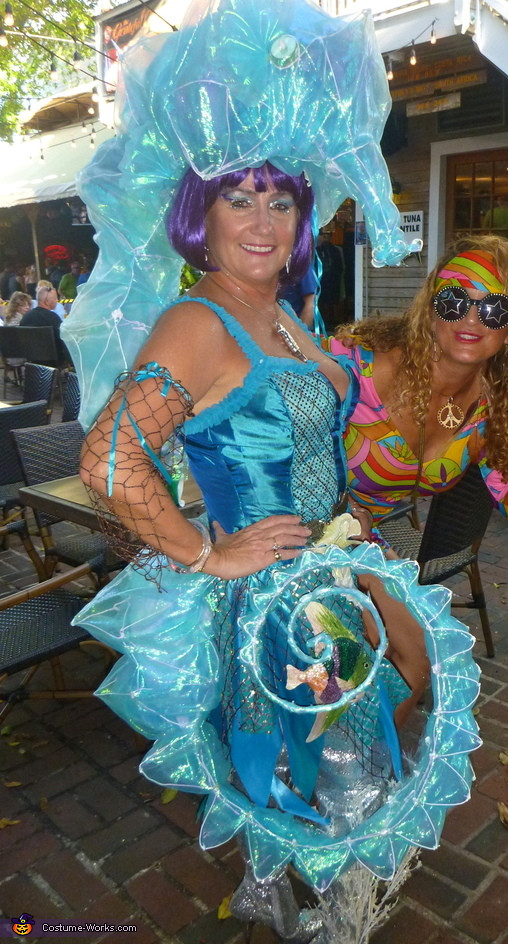 Best ideas about Seahorse Costume DIY
. Save or Pin Seahorse Siren Costume 2 7 Now.