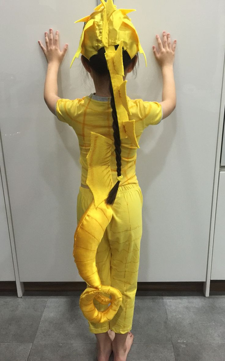 Best ideas about Seahorse Costume DIY
. Save or Pin The 25 best ideas about Seahorse Costume on Pinterest Now.