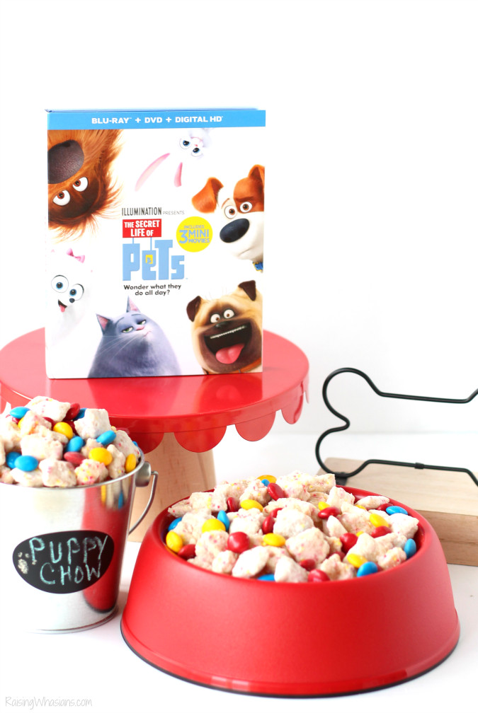 Best ideas about Secret Life Of Pets Birthday Party
. Save or Pin The Secret Life of Pets Party Ideas Blu Ray bo Pack Now.
