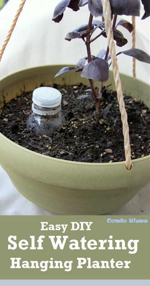 Best ideas about Self Watering Planters DIY
. Save or Pin Condo Blues How to Make a Hanging Self Watering Herb Garden Now.