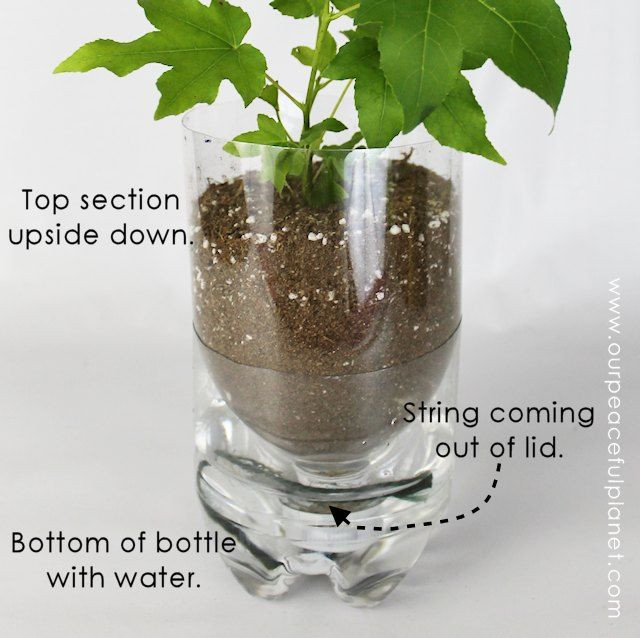 Best ideas about Self Watering Planters DIY
. Save or Pin 15 DIY Self Watering Planters That You Can Craft Today Now.