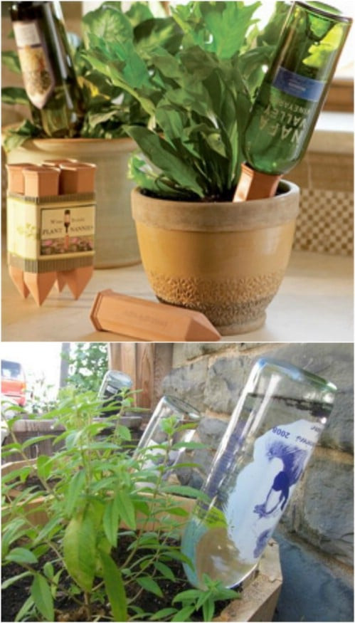 Best ideas about Self Watering Planters DIY
. Save or Pin 15 DIY Self Watering Planters That Make Container Now.