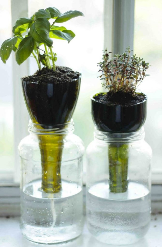 Best ideas about Self Watering Planters DIY
. Save or Pin DIY Self Watering Seed Starter Pots – The Owner Builder Now.
