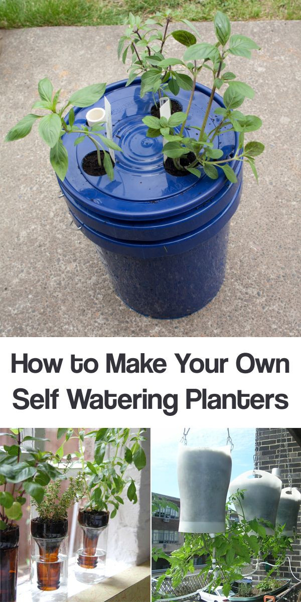 Best ideas about Self Watering Planters DIY
. Save or Pin Learn How to Make Your Own Self Watering Planters with Now.