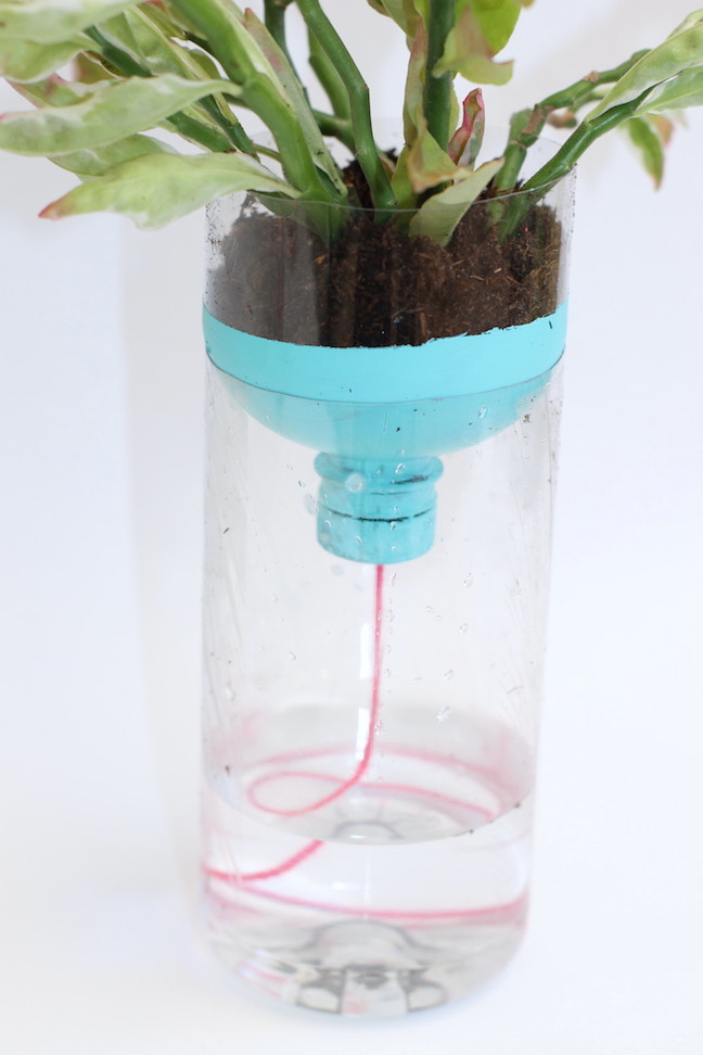 Best ideas about Self Watering Pots DIY
. Save or Pin DIY Self Watering Planters Now.