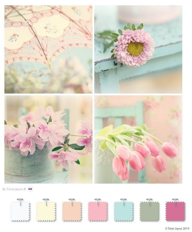 Best ideas about Shabby Chic Paint Colors
. Save or Pin 25 Best Ideas about Shabby Chic Colors on Pinterest Now.