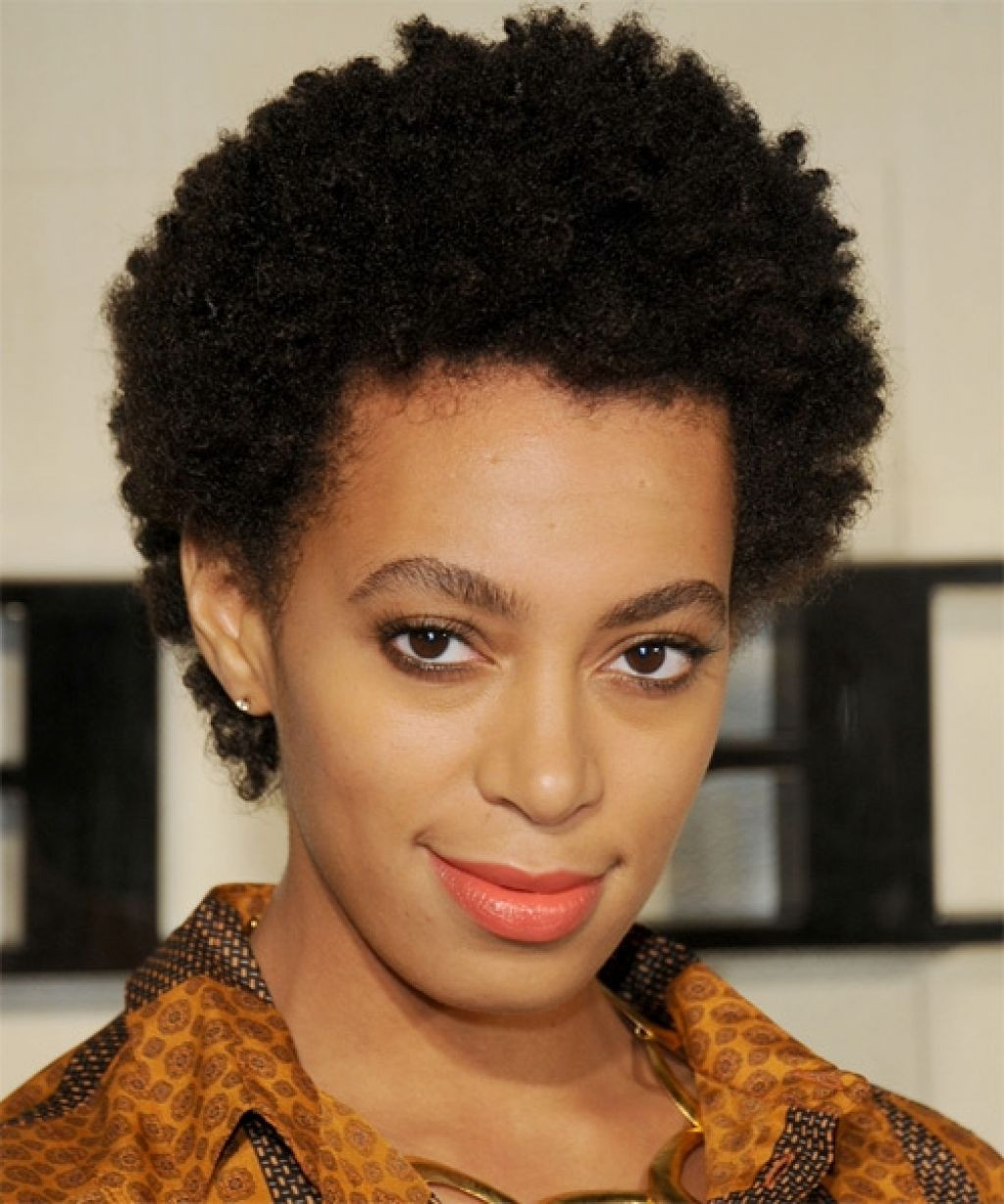 Best ideas about Short Natural Hair Hairstyles
. Save or Pin Natural Hairstyles 16 Short Natural Hairstyles You Will Now.