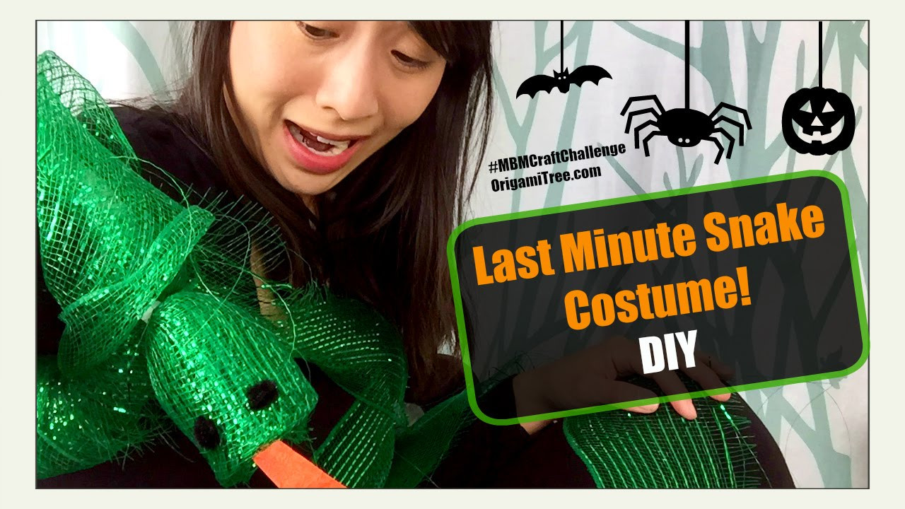 Best ideas about Snake Costume DIY
. Save or Pin Halloween Crafts DIY Last Minute Halloween Costume Snake Now.