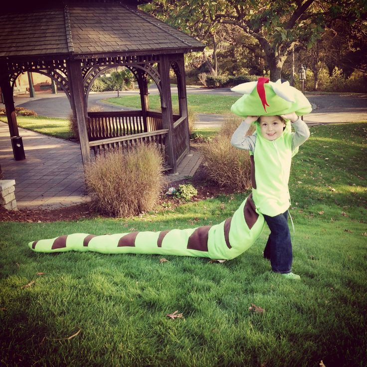 Best ideas about Snake Costume DIY
. Save or Pin Happy Halloween Love Dominic Best Snake Costume EVER Now.