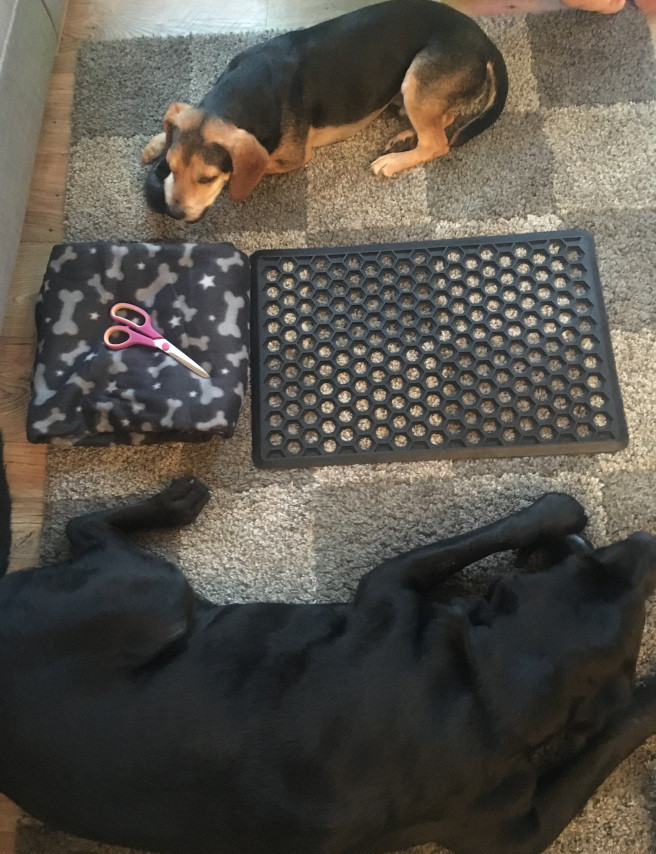 Best ideas about Snuffle Mat DIY
. Save or Pin DIY Doggy Snuffle Mat Now.
