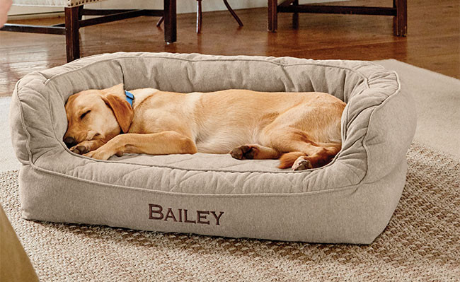 Best ideas about Sofa Dog Bed
. Save or Pin Memory Foam Couch Dog Bed Orvis Memory Foam Couch Dog Now.