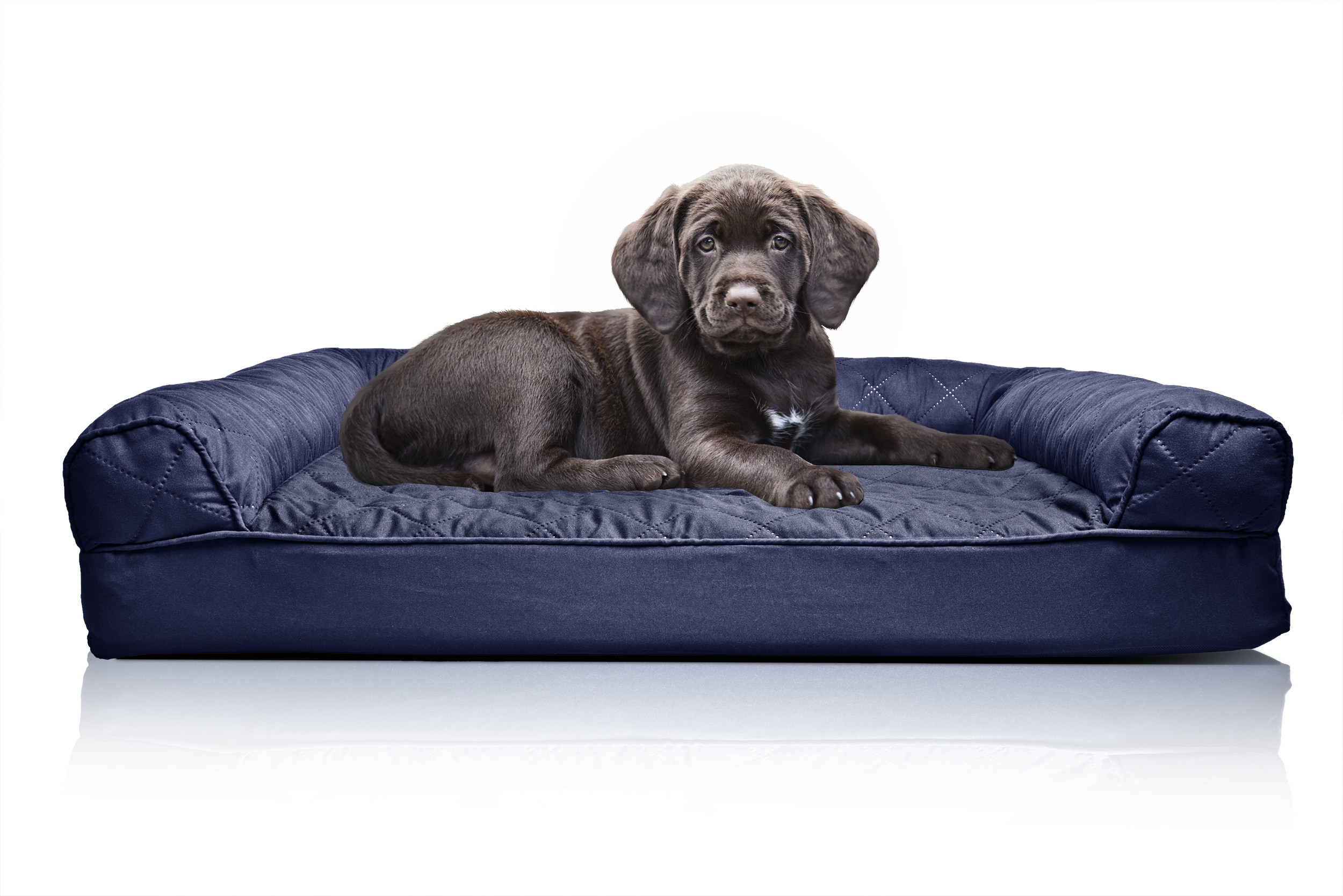 Best ideas about Sofa Dog Bed
. Save or Pin FurHaven Quilted Orthopedic Sofa Dog Bed Pet Bed Now.