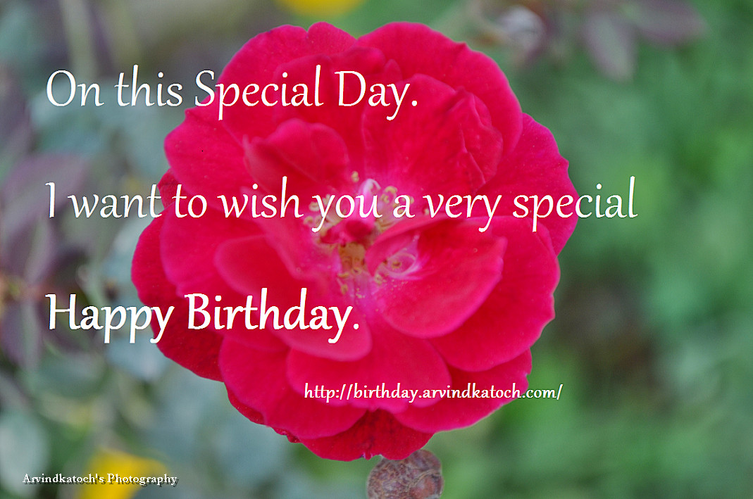 Best ideas about Special Happy Birthday Wish
. Save or Pin Very Special Birthday Quotes QuotesGram Now.