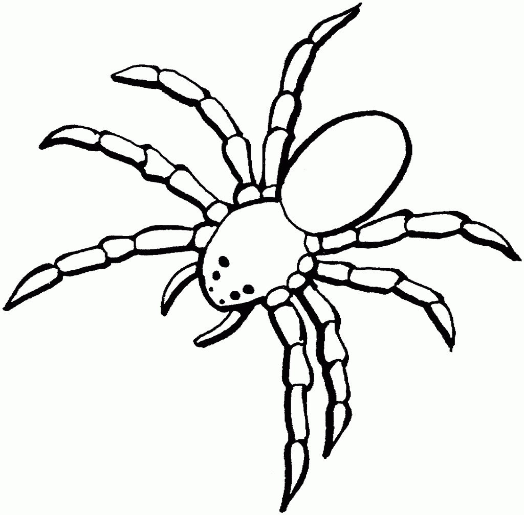 Best ideas about Spider Printable Coloring Pages
. Save or Pin Free Printable Spider Coloring Pages For Kids Now.