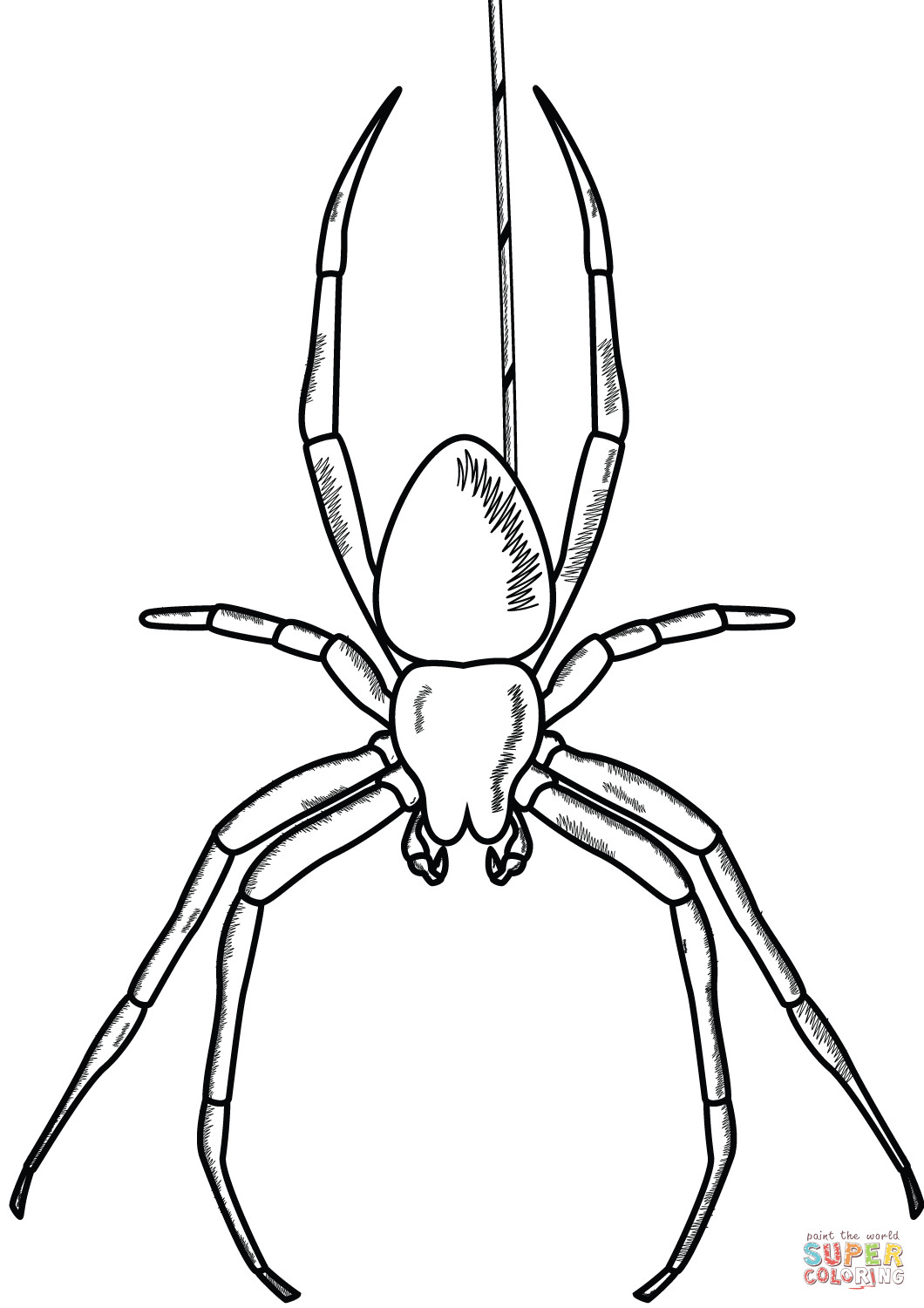 Best ideas about Spider Printable Coloring Pages
. Save or Pin Spider coloring page Now.