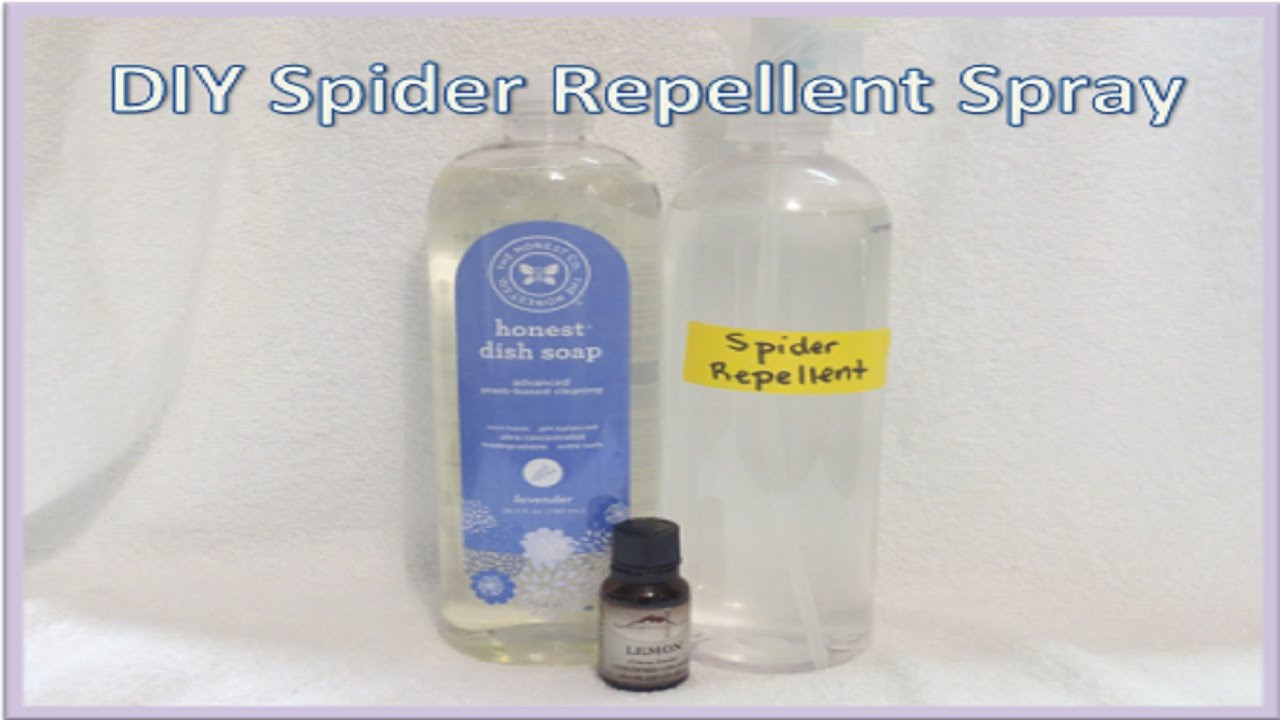 Best ideas about Spider Repellent DIY
. Save or Pin DIY Spider Repellent Spray Now.