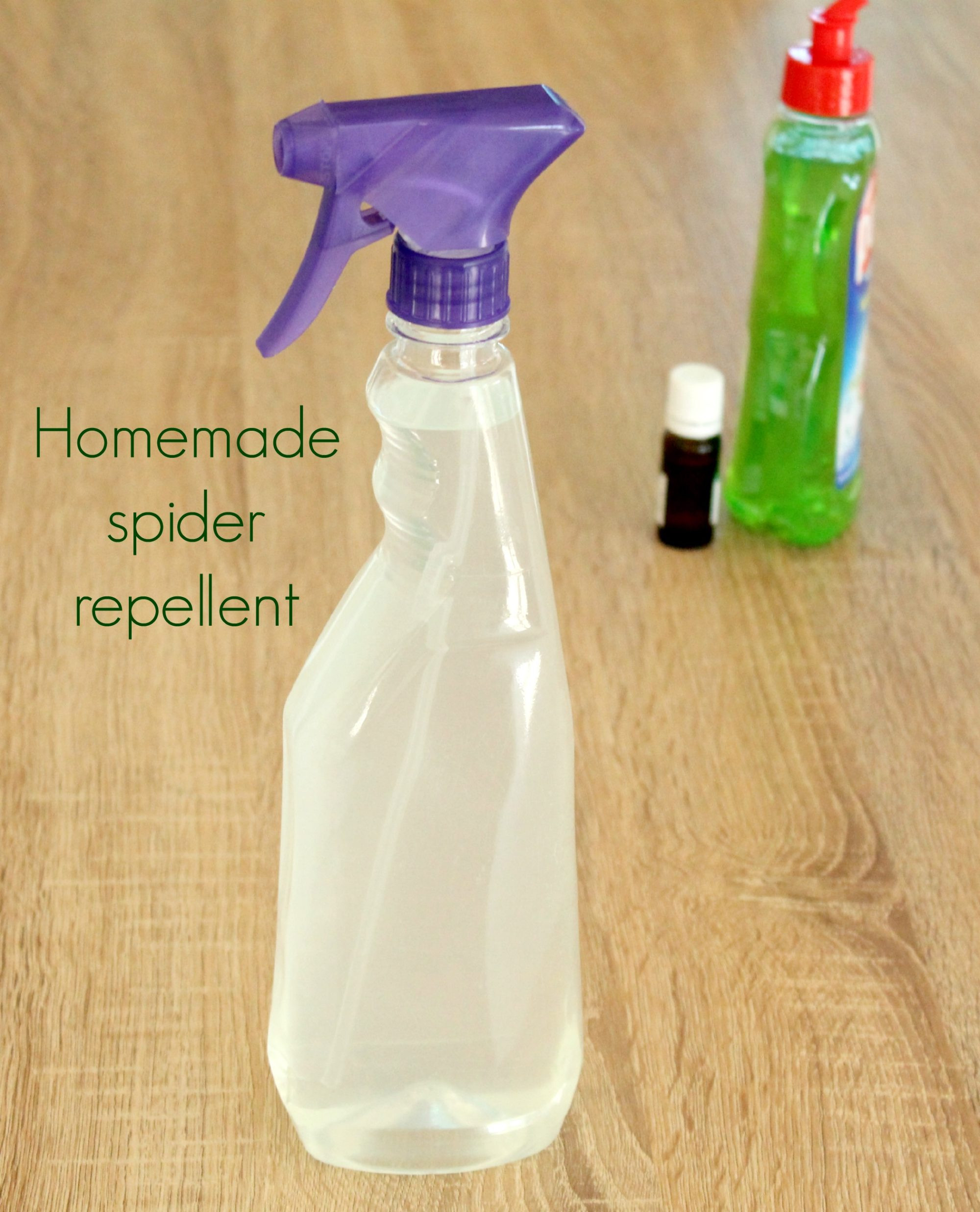 Best ideas about Spider Repellent DIY
. Save or Pin Homemade spider repellent The Seaman Mom Now.