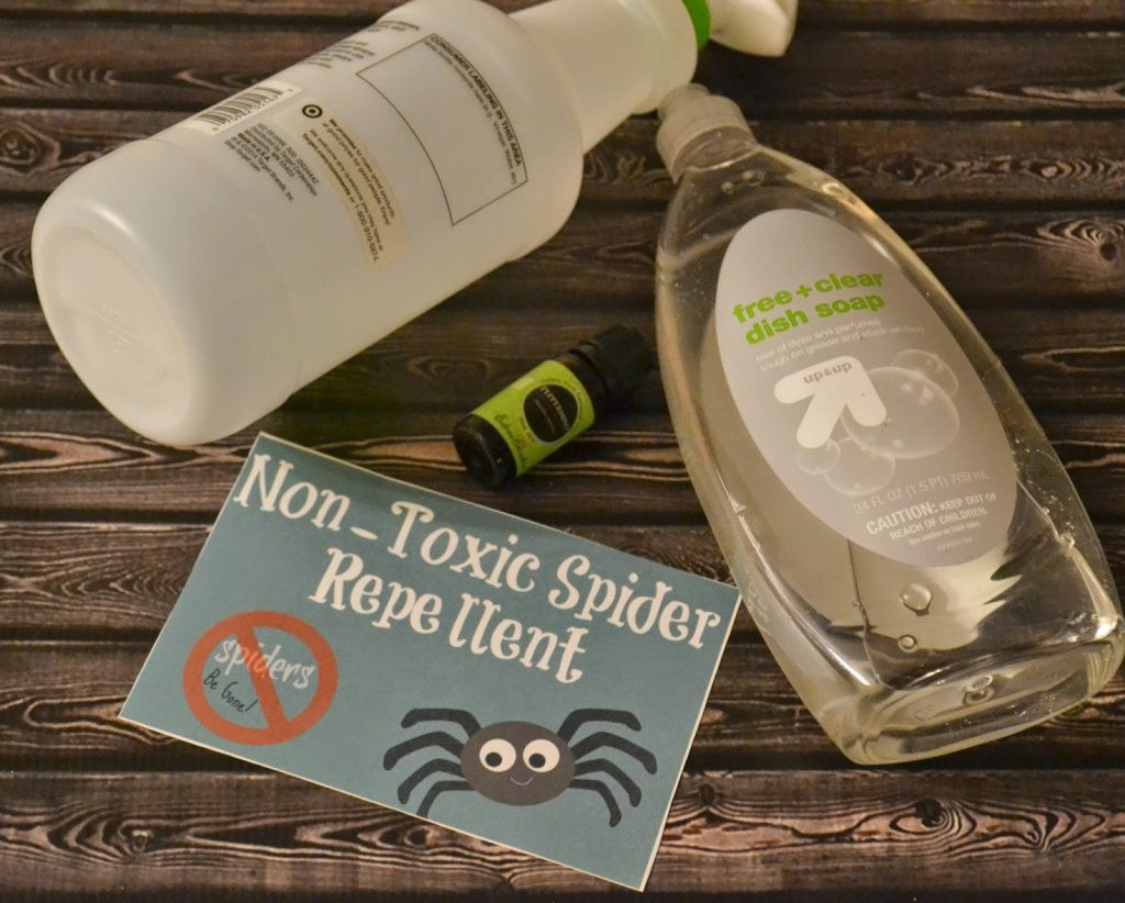 Best ideas about Spider Repellent DIY
. Save or Pin Homemade Non Toxic Spider Repellent DIY Now.
