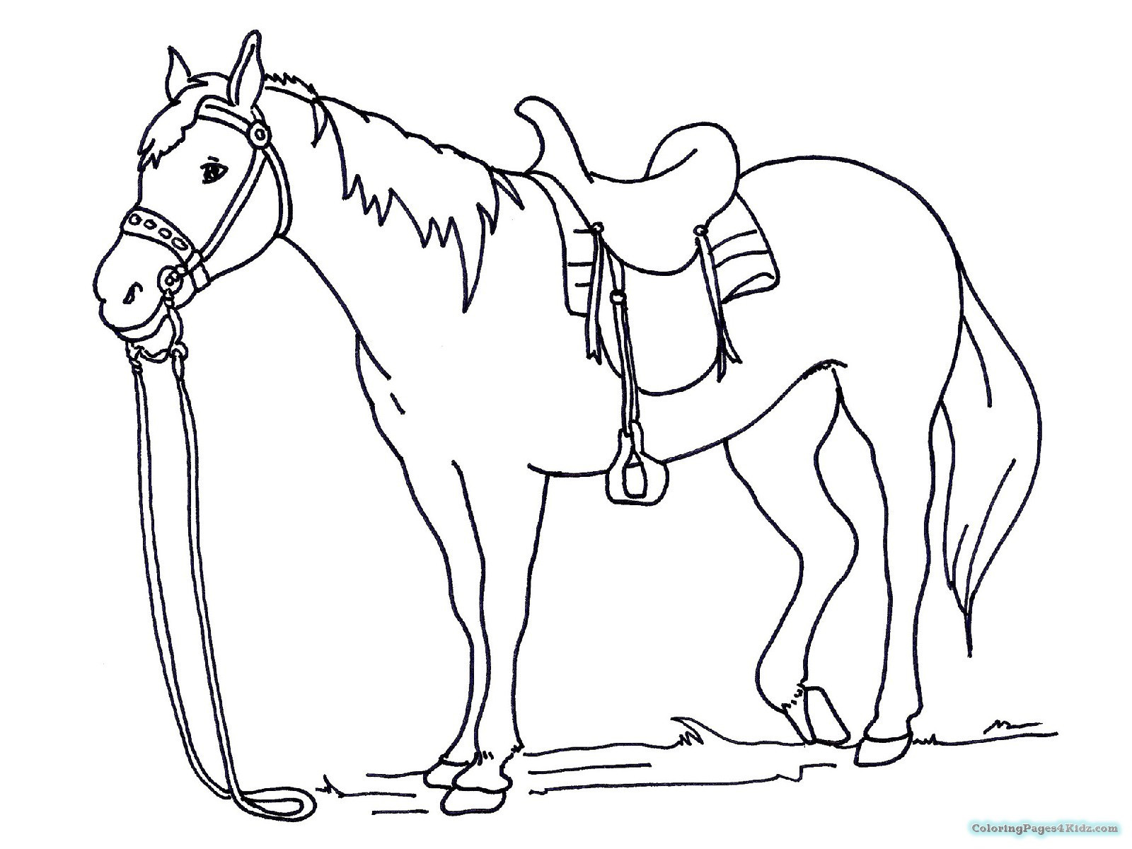 Best ideas about Spirit Riding Free Coloring Pages
. Save or Pin Spirit Riding Free Coloring Pages Now.