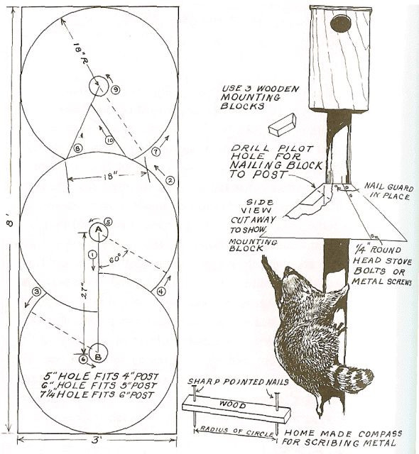 Best ideas about Squirrel Baffle DIY
. Save or Pin 20 Best images about Squirrel Baffles on Pinterest Now.