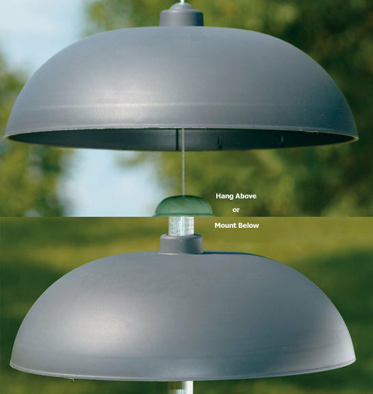 Best ideas about Squirrel Baffle DIY
. Save or Pin Two Way Squirrel Baffle Now.