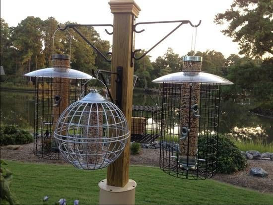 Best ideas about Squirrel Baffle DIY
. Save or Pin 40 best Bird Feeders images on Pinterest Now.