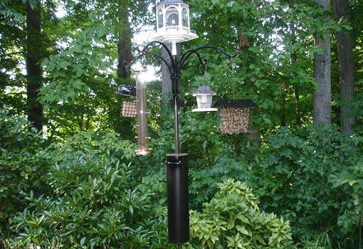 Best ideas about Squirrel Baffle DIY
. Save or Pin How to Make a Squirrel and Raccoon Bird Feeder Baffle Now.