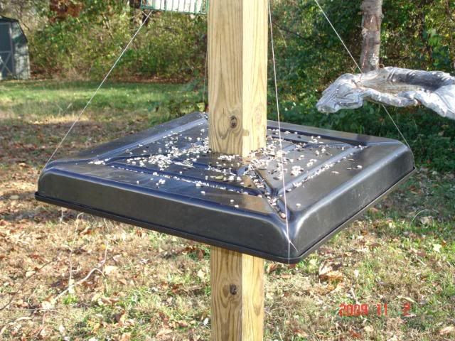Best ideas about Squirrel Baffle DIY
. Save or Pin Squirrel Baffles Bird Feeders Homemade WoodWorking Now.
