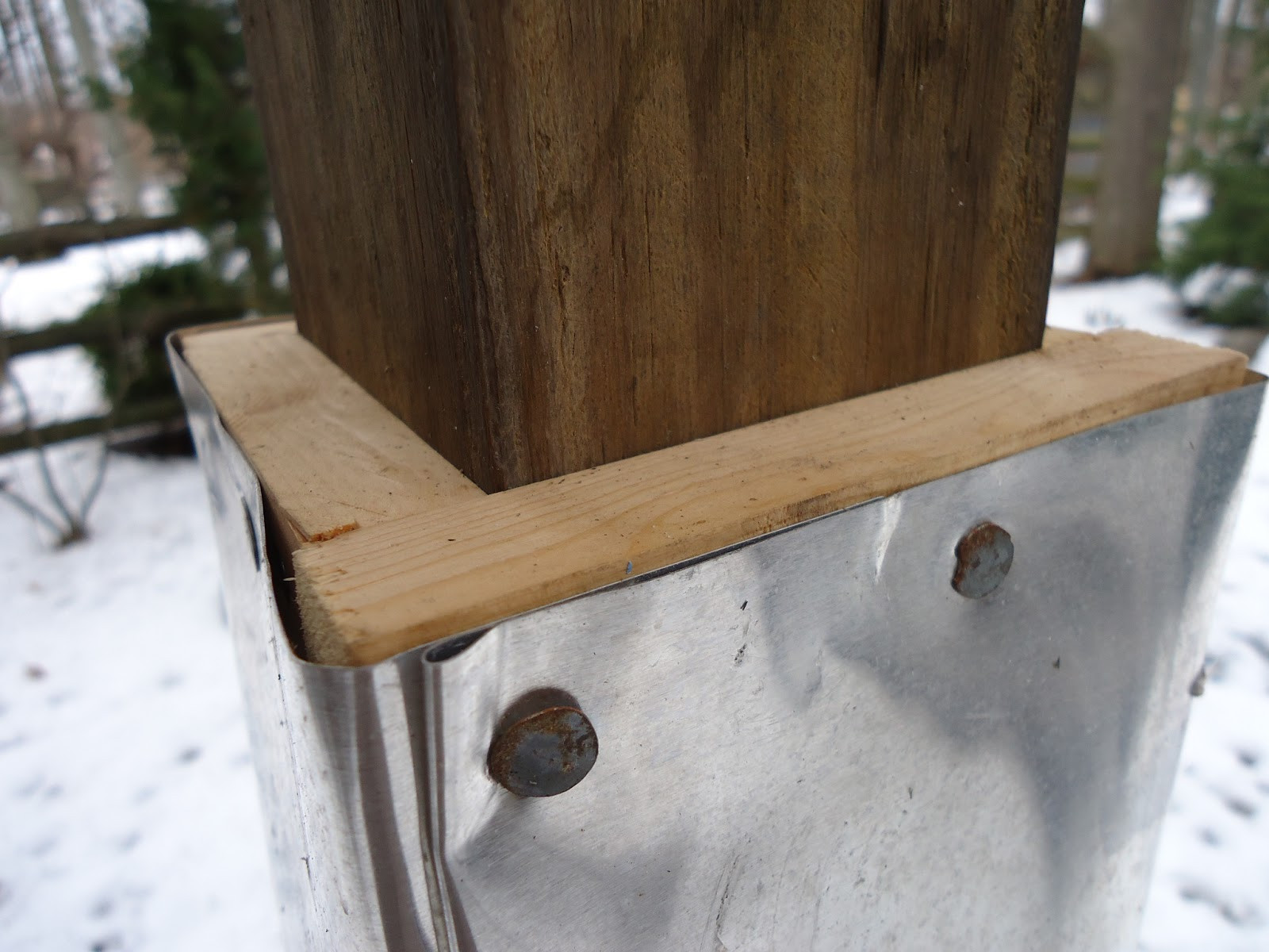 Best ideas about Squirrel Baffle DIY
. Save or Pin The Salty Gardener Squirrel Baffle Now.