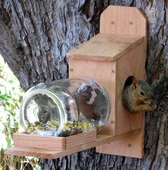 Best ideas about Squirrel Feeder DIY
. Save or Pin 61 best squirrel feeders images on Pinterest Now.