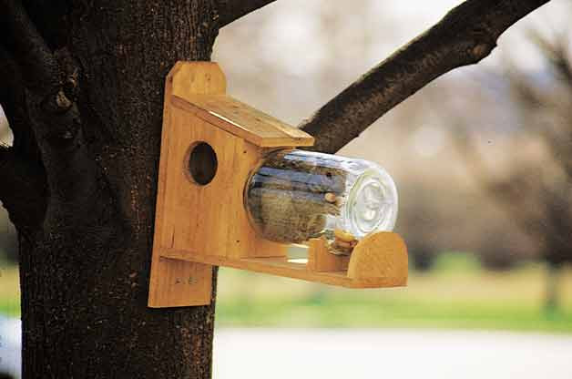 Best ideas about Squirrel Feeder DIY
. Save or Pin How To Make Homemade Squirrel Feeders Now.