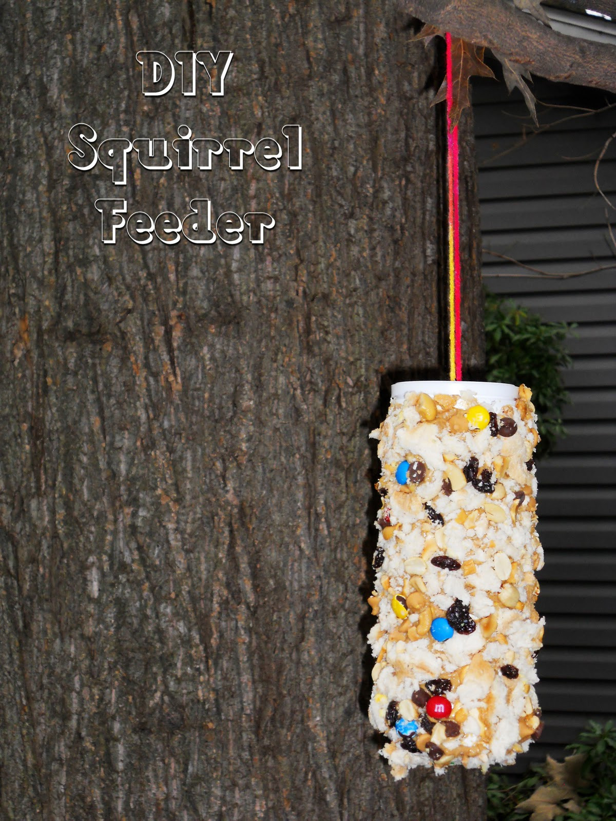 Best ideas about Squirrel Feeder DIY
. Save or Pin The Peanut Gallery DIY Squirrel Feeder Now.