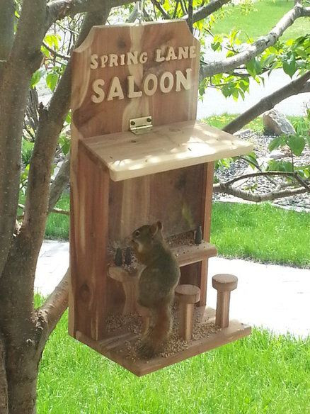 Best ideas about Squirrel Feeder DIY
. Save or Pin Saloon Bird ratch that Squirrel Feeder by RossC23 Now.