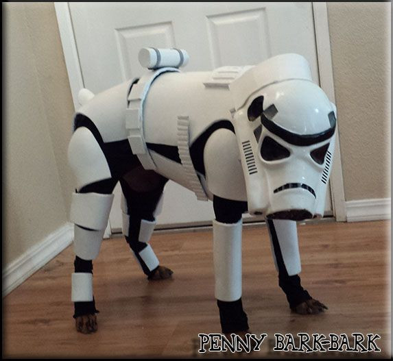 Best ideas about Stormtrooper Costume DIY
. Save or Pin 44 best images about DIY Dog Costumes on Pinterest Now.