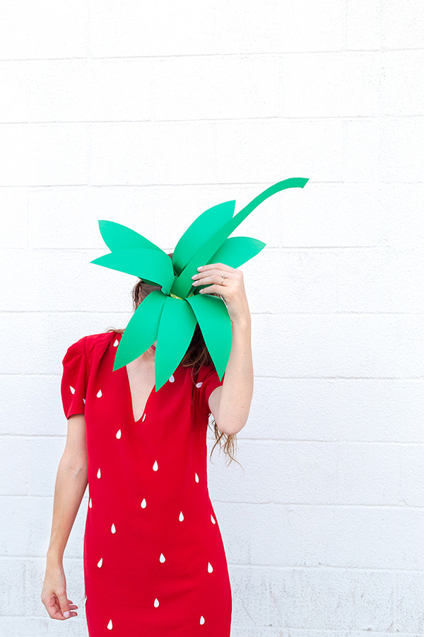 Best ideas about Strawberry Costume DIY
. Save or Pin DIY Strawberry Costume Now.