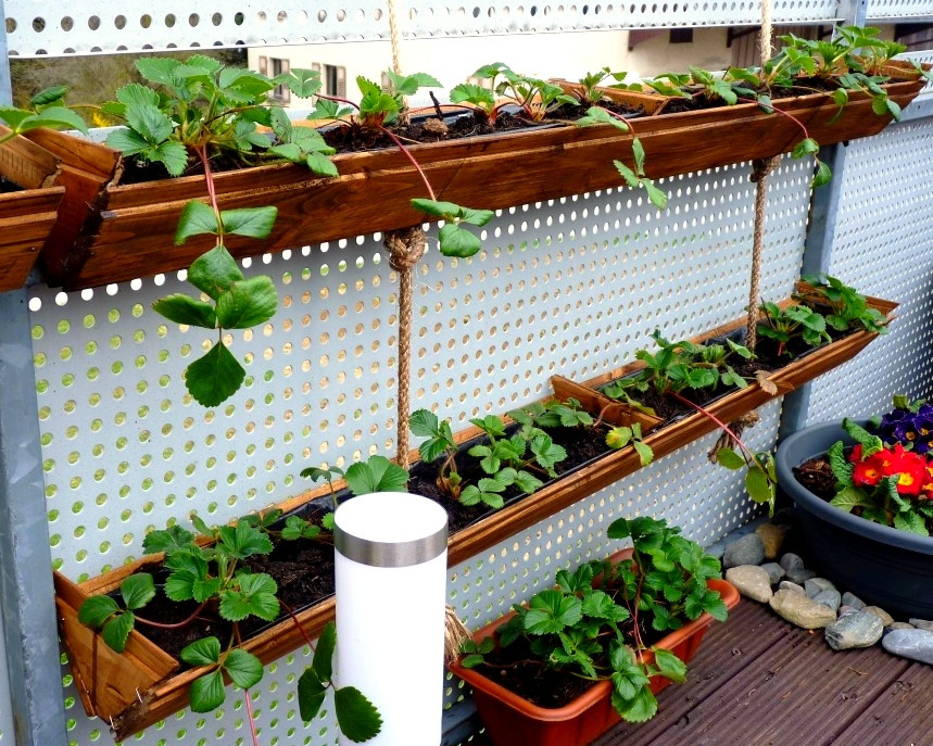 Best ideas about Strawberry Garden Ideas
. Save or Pin Container Gardening DIY Strawberry Planter Easy and Now.