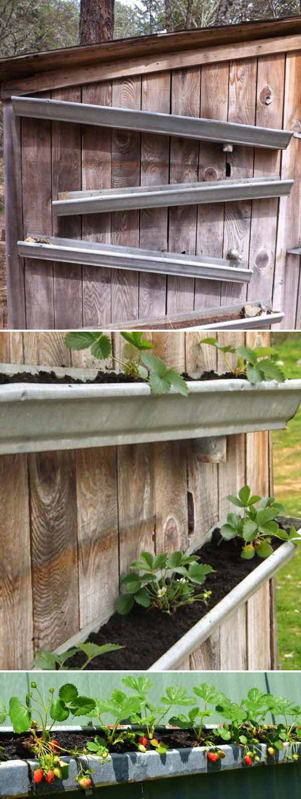 Best ideas about Strawberry Garden Ideas
. Save or Pin Creative DIY Ideas for Growing Strawberries Small Now.