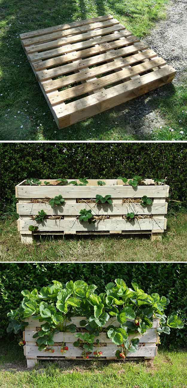 Best ideas about Strawberry Garden Ideas
. Save or Pin 12 Creative DIY Pallet Planter Ideas Now.