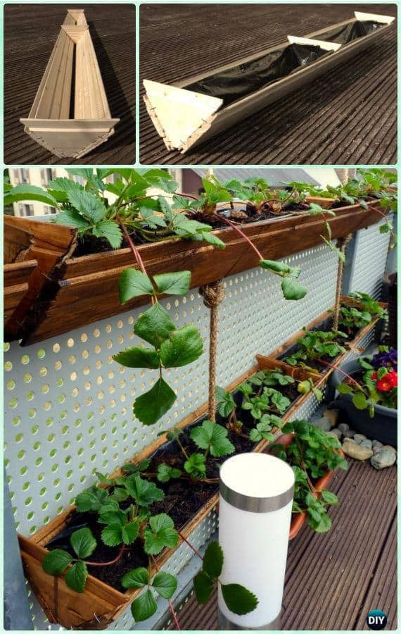 Best ideas about Strawberry Garden Ideas
. Save or Pin Best Ways to Grow Strawberries in Containers Now.